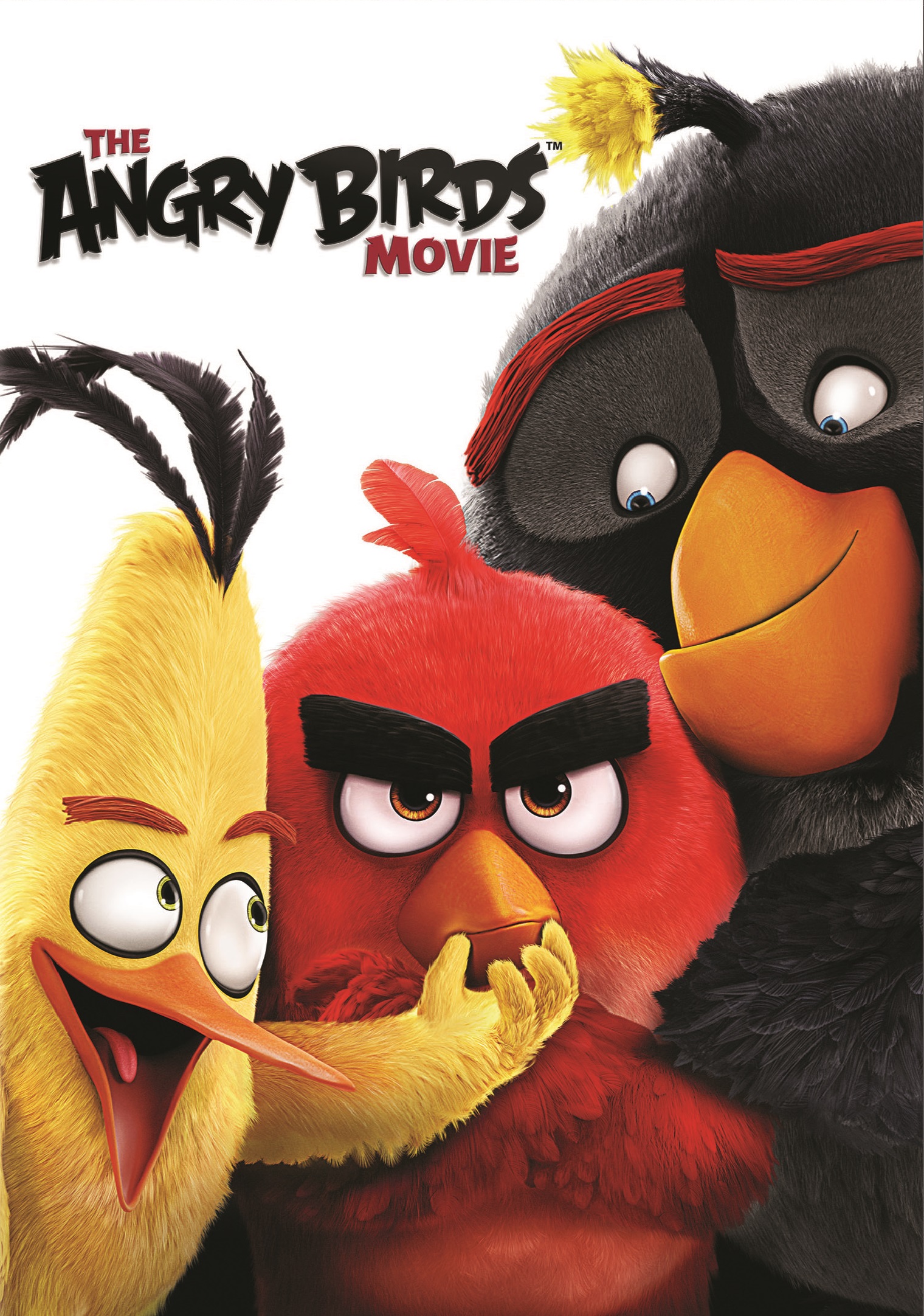 The Angry Birds Movie 2016 19051 Poster.jpg