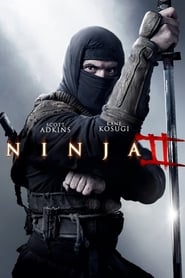 Ninja Shadow Of A Tear 2013 Hindi Dubbed 23482 Poster.jpg